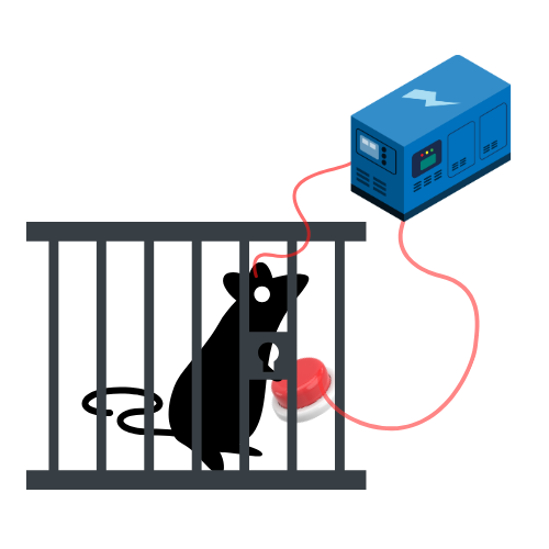 cage-souris